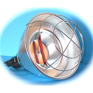 LAMPE