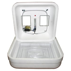 INCUBATEUR A AIR STABLE