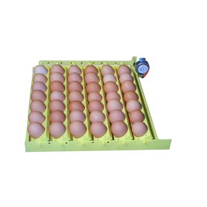 TOURNEUR A OEUFS DE POULES