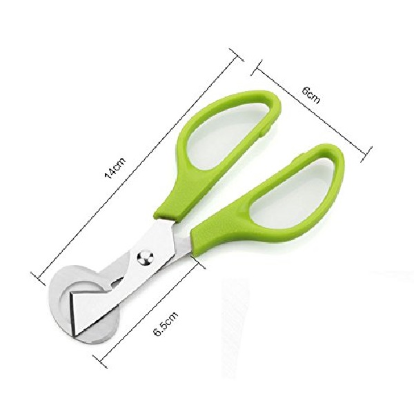 Ciseaux à œufs En Acier Inoxydable Pour Caille | France