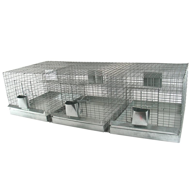 Chinchillas cages