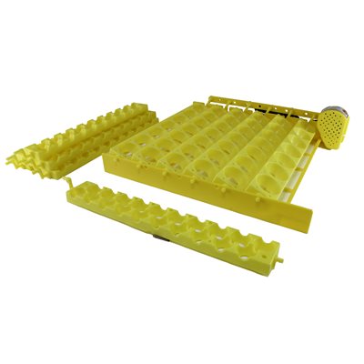 Chicken and Quail Egg Turner