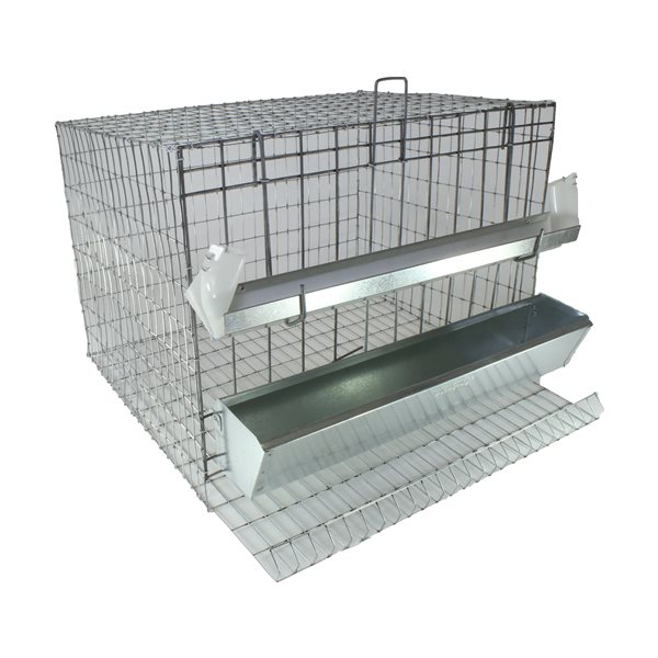 Cage à poules 24"