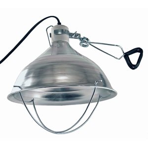 Heat Lamp With Clamp