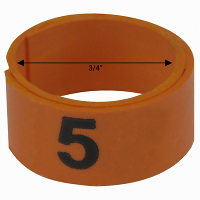 Bague orange numérotée de 3 / 4" (Numéro 1 à 25)
