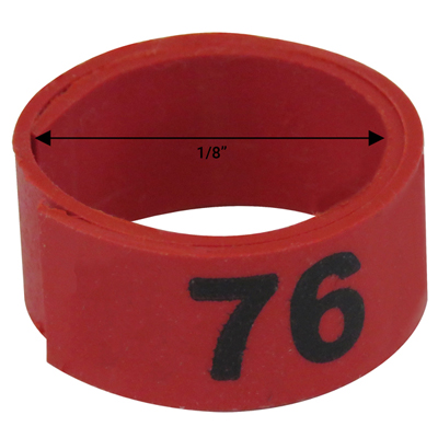 Bague rouge numérotée de 1 / 8" (Numéro 76 à 100) Bague rouge numérotée de 1 / 8" (Numéro 76 à 100)