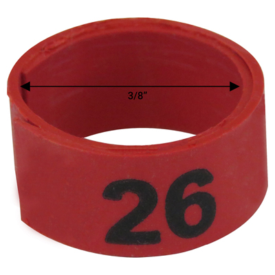 Bague blanche numérotée de 3 / 8" (Numéro 26 à 50) Bague blanche numérotée de 3 / 8" (Numéro 26 à 50)